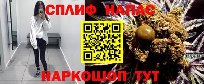дживик Дубна