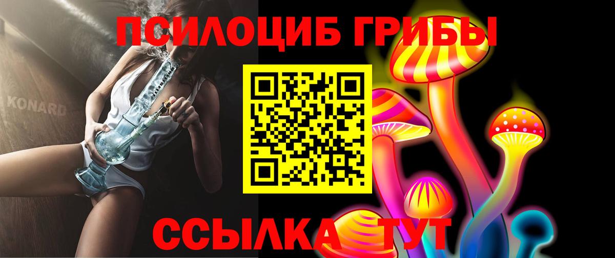 Мурманск  Псилоцибиновые грибы Magic Shrooms  наркошоп  Вход с VPN 
